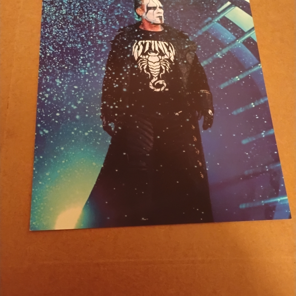 Wrestling Wall Art Poster - Blue and Black